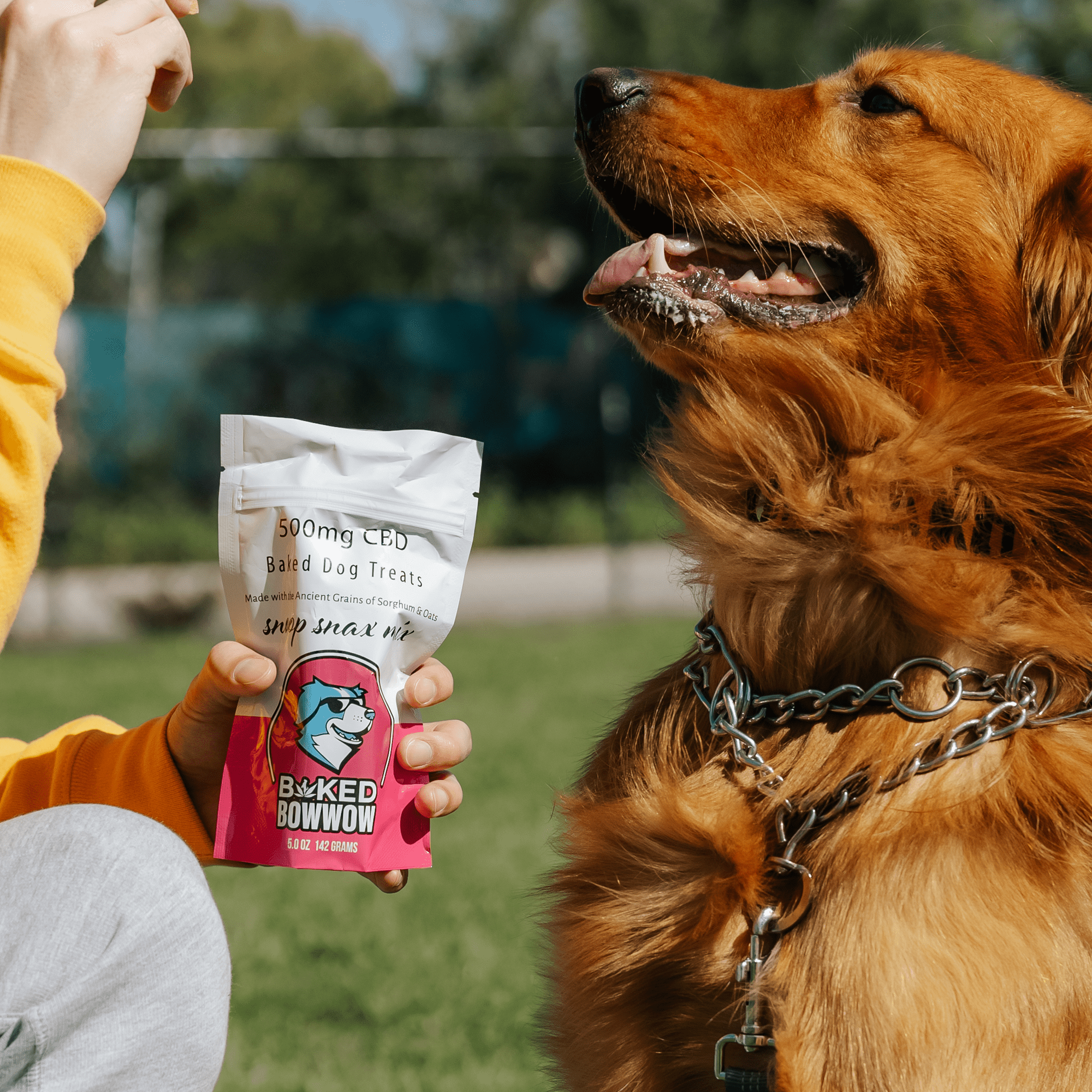 Baked BowWow - Snoop Snax Mix 500MG - CBD Dog Treats